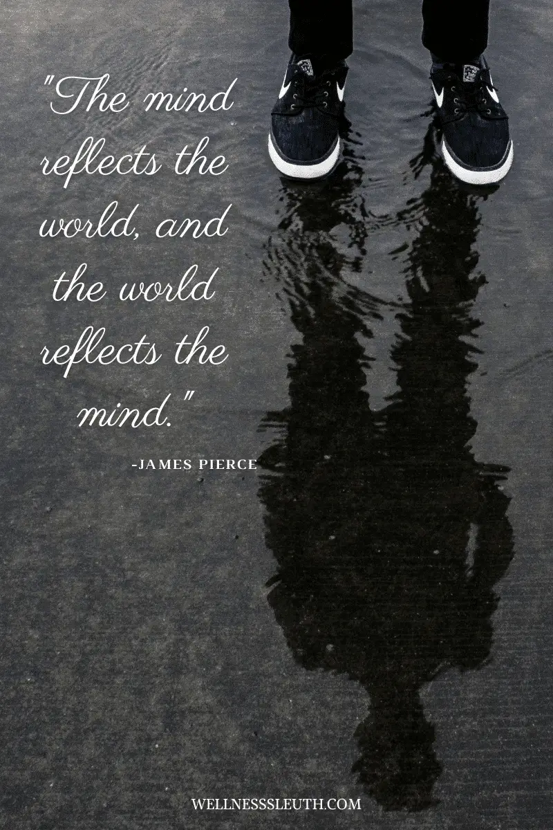 The mind reflects the world, and the world reflects the mind.