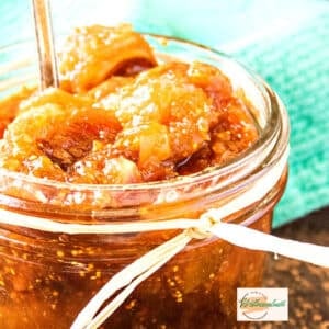 Easy Homemade Vanilla Fig Jam