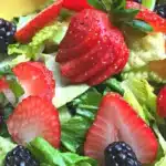 Mixed Berry Salad with Raspberry Vinaigrette
