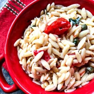 Orzo Pasta Salad