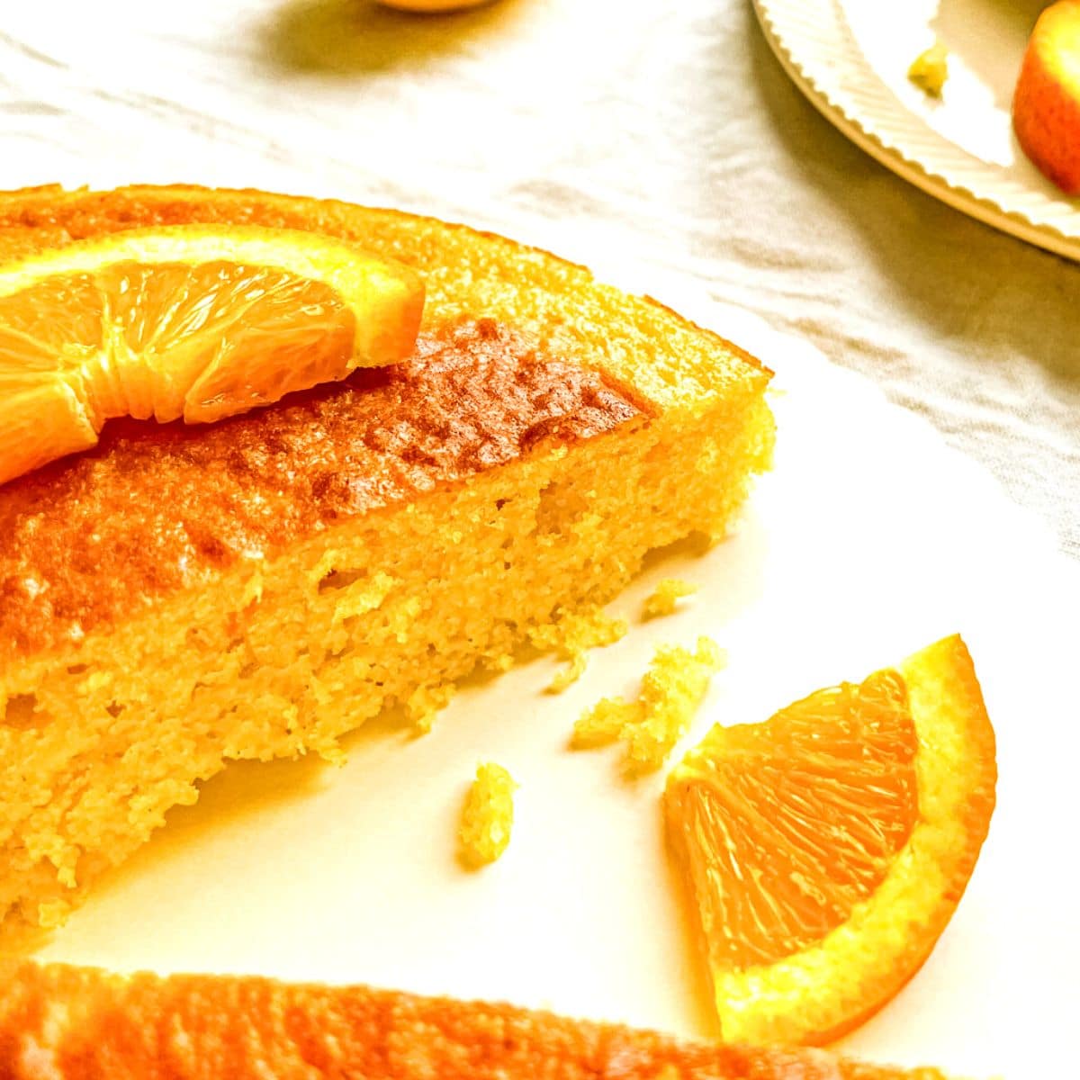 Orange-Lemon-Yogurt-Cake