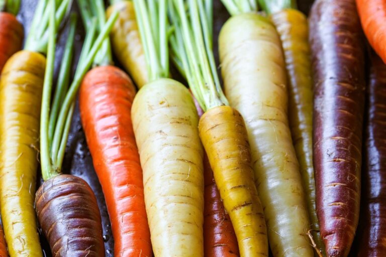 Super Easy Tri-Color Roasted Carrots - wellnesssleuth