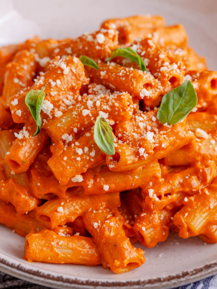 Rigatoni Topped With Homemade Vodka Sauce Recipe - wellnesssleuth