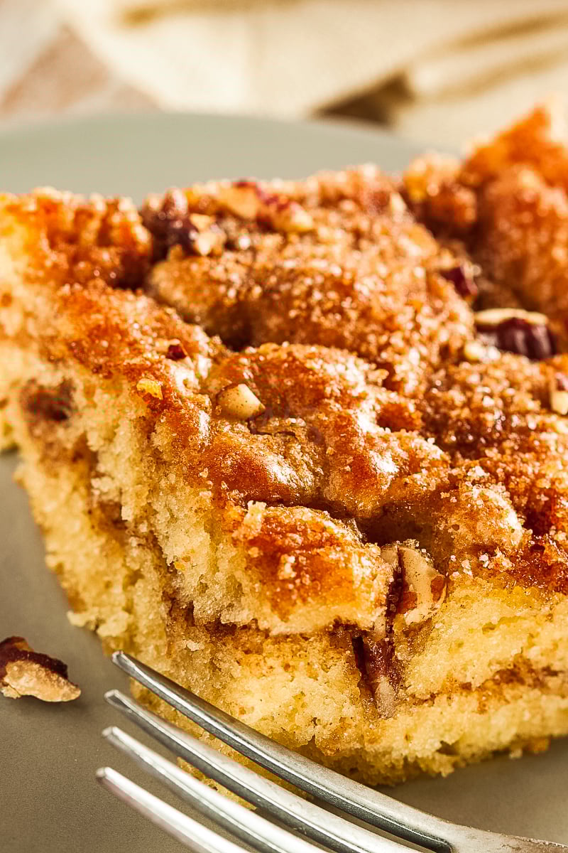 Moist cinnamon coffee cake with crumb topping on a white plate”