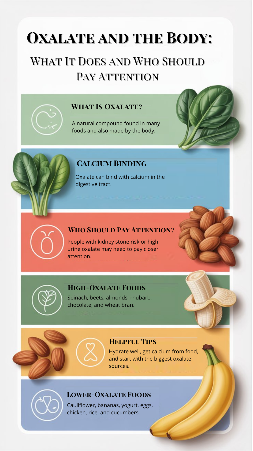 Oxalate infographic explaining what oxalate is, how it binds with calcium, who should pay attention, high-oxalate foods, lower-oxalate foods, and practical tips for kidney stone risk.